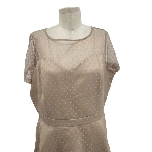Lindy Bop Leona Almond Polka Dot‎ Mesh Prom Dress Beige Plus Size 3XL - Picture 3 of 12